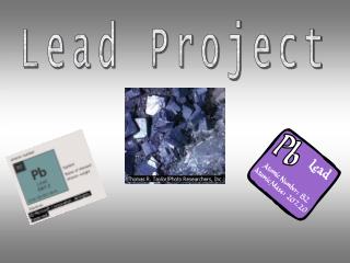 Lead Project