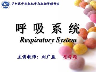 呼 吸 系 统 Respiratory System