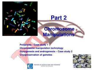 Part 2 Chromosome Manipulations