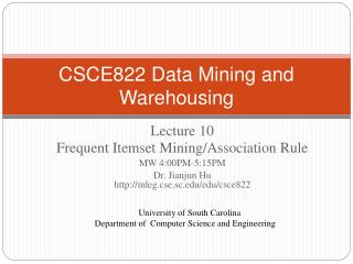 CSCE822 Data Mining and Warehousing