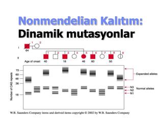 Nonmendelian Kalıtım : D i nami k muta sy on lar