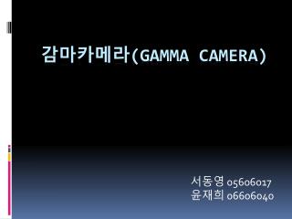 감마카메라 (gamma camera)