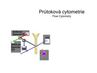 Průtoková cytometrie Flow Cytometry