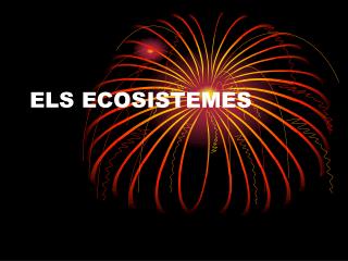 ELS ECOSISTEMES