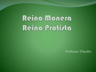 Reino Monera Reino Protista