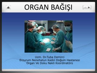 ORGAN BAĞIŞI