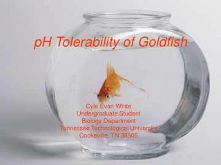 pH Tolerability of Goldfish