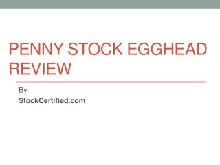 Penny Stock Egghead Review