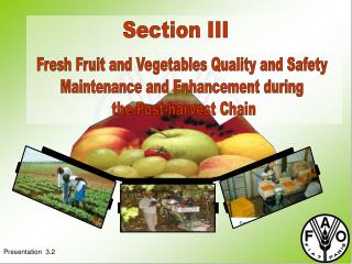 Fresh Fruit and Vegetables Quality and Safety Maintenance and Enhancement during the Post-harvest Chain