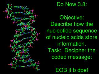 DNA Basics