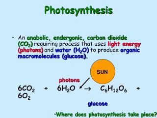 Photosynthesis