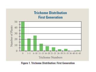 What is the mean height of the plants in the first generation to the nearest tenth?