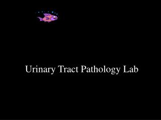 Urinary Tract Pathology Lab
