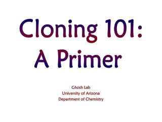 Ghosh Lab University of Arizona Department of Chemistry