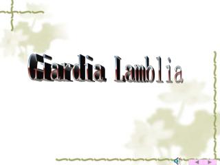 Giardia Lamblia