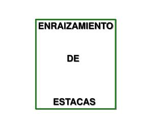 ENRAIZAMIENTO DE ESTACAS