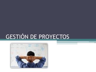 GESTIÓN DE PROYECTOS