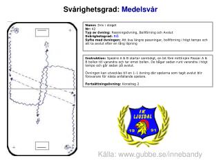 Källa: gubbe.se/innebandy