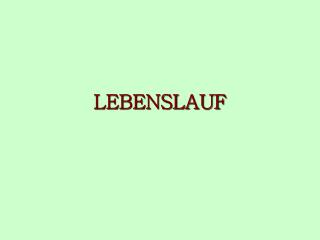 LEBENSLAUF