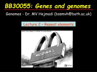 BB30055: Genes and genomes