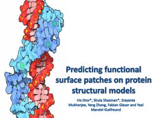 Predicting functional surface patches on protein structural models