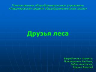 Муниципальное общеобразовательное учреждение «Ладомировская средняя общеобразовательная школа»