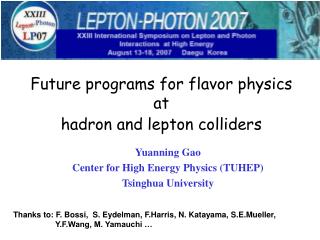 Future programs for flavor physics at hadron and lepton colliders