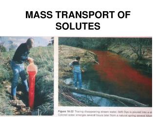 MASS TRANSPORT OF SOLUTES