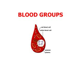 BLOOD GROUPS