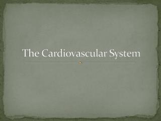 The Cardiovascular System