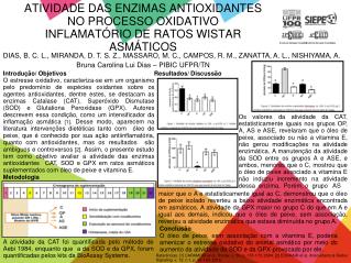 Metodologia