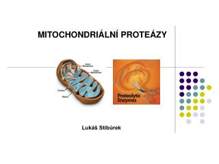 MITOCHONDRIÁLNÍ PROTEÁZY