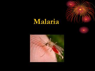 Malaria