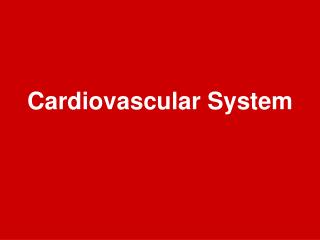 Cardiovascular System