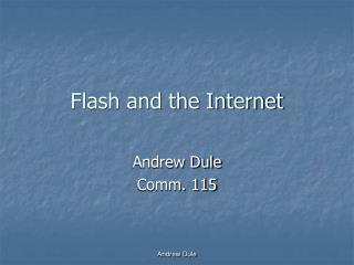 Flash and the Internet