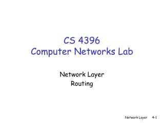 CS 4396 Computer Networks Lab