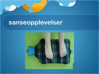 sanseopplevelser