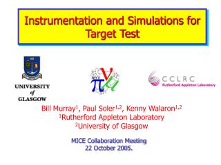 Instrumentation and Simulations for Target Test