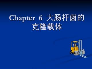 Chapter 6 大肠杆菌的克隆载体