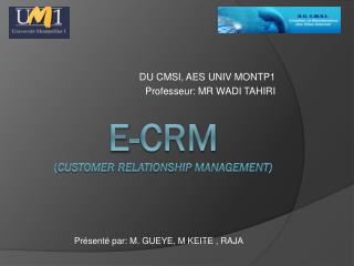 E-CRM ( customer relationship management)