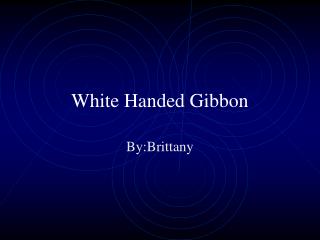 White Handed Gibbon