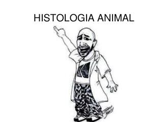 HISTOLOGIA ANIMAL