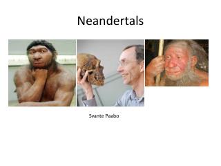 Neandertals