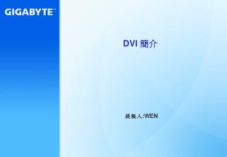 DVI 簡介