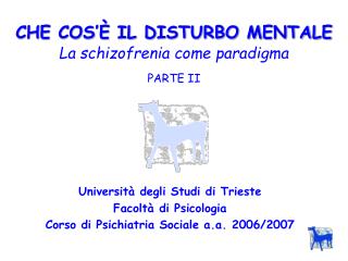 CHE COS’È IL DISTURBO MENTALE La schizofrenia come paradigma PARTE II