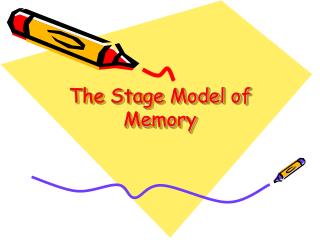 The Stage Model of Memory