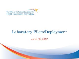 Laboratory Pilots/Deployment