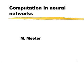 Computation in neural networks