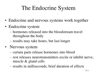 The Endocrine System