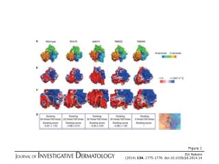 Eiji Nakano (2014) 134 , 1775-1778. doi:10.1038/jid.2014.14